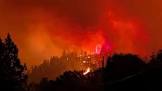 British Columbia declares state of emergency over wildfires