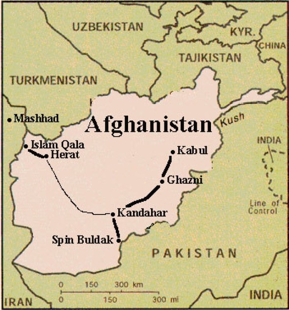 Taliban refutes reports of killing of their members in Kandahar