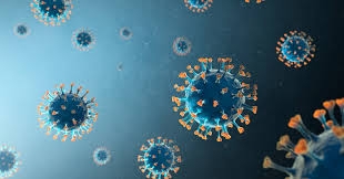 Pakistan’s quick response to coronavirus is among world’s best, says WHO Country Head