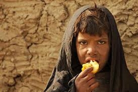 UN agency warns over growing Afghans' food insecurity